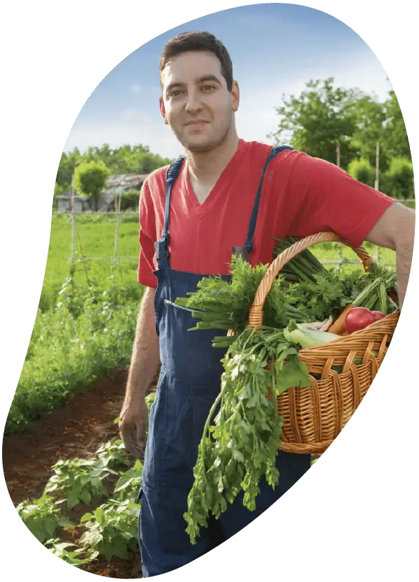 Photo d'un agriculteur avec un panier de légumes