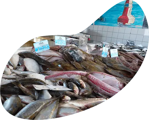 Photo d'un stand de poissons